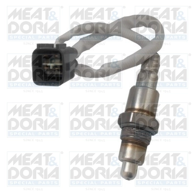 Oxygen Sensor
